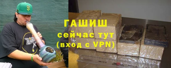 гидра Майский