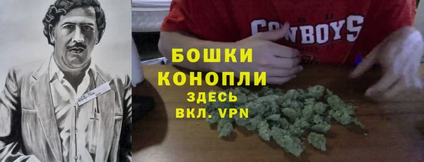 гидра Майский