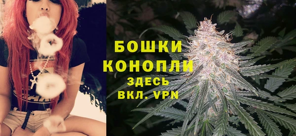 твердый Медногорск