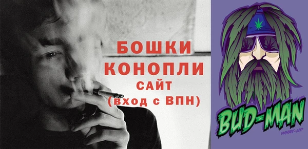 гидра Майский