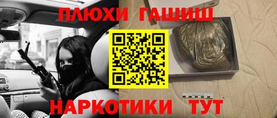 гидропоника Гатчина