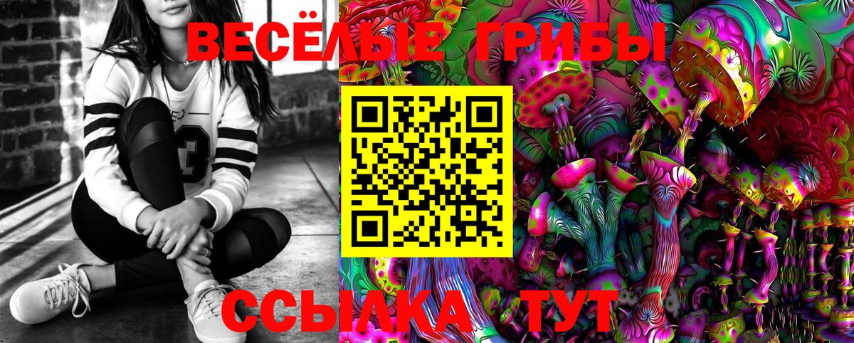 Галлюциногенные грибы мухоморы Долгопрудный