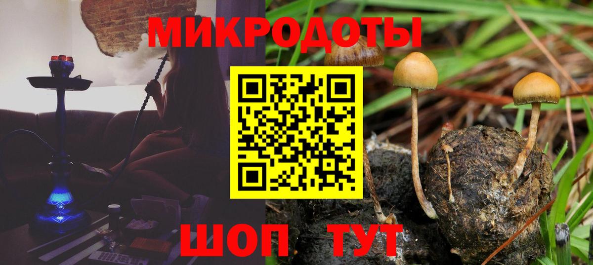 где найти   Долгопрудный  Галлюциногенные грибы Magic Shrooms 