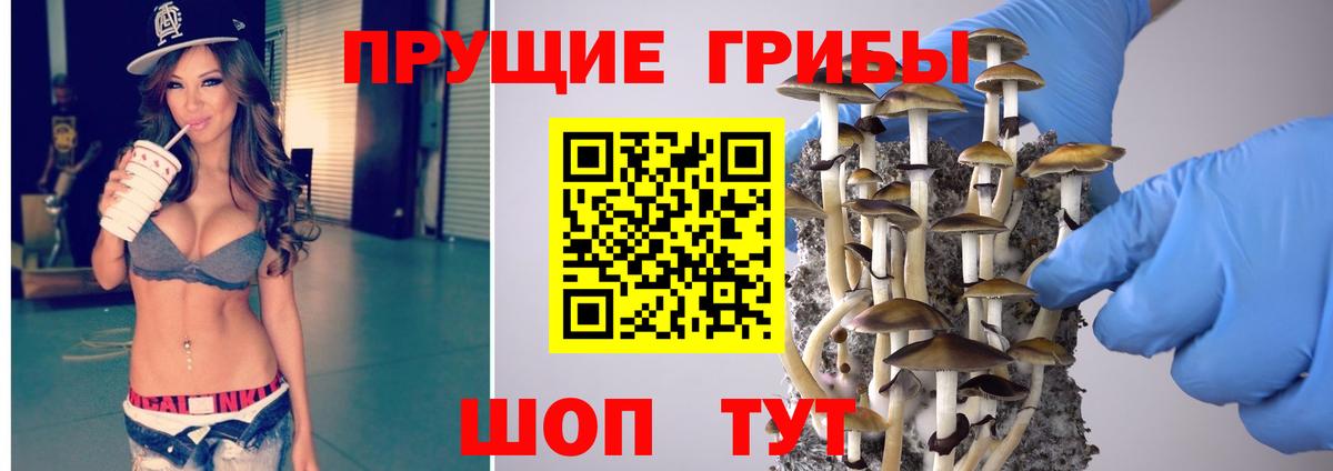 Долгопрудный  Псилоцибиновые грибы Psilocybe  Псилоцибиновые грибы GOLDEN TEACHER  Вход с VPN 